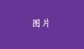 沒(méi)有標(biāo)題的話，就不會(huì)顯示